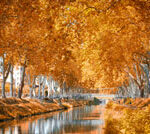 Canal du Midi in Autumn