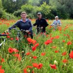 Cycling in the Upper Loire